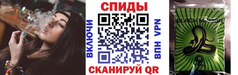 OMG tor  Алзамай  Бутират бутандиол 