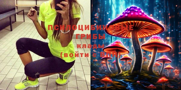 альфа пвп Няндома
