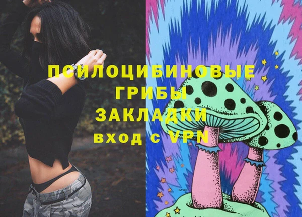 стаф Вязники