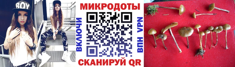 Псилоцибиновые грибы мицелий  купить наркотики цена  Алзамай 
